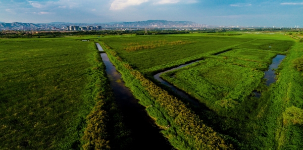 水利部部長鄂竟平檢查永定河防汛并聽取永定河流域投資有限公司工作匯報 水利部部長鄂竟平檢查永定河防汛并聽取永定河流域投資有限公司工作匯報