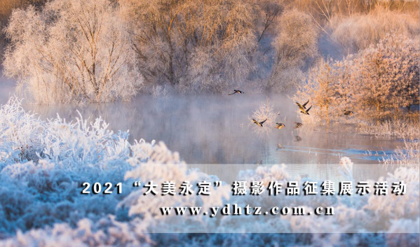 首批征集作品亮相 2021一起發(fā)現(xiàn)“大美永定” 首批征集作品亮相 2021一起發(fā)現(xiàn)“大美永定”