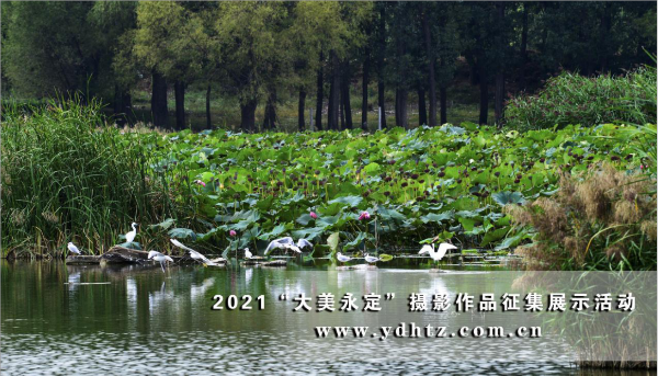 首批征集作品亮相 2021一起發(fā)現(xiàn)“大美永定” 首批征集作品亮相 2021一起發(fā)現(xiàn)“大美永定”