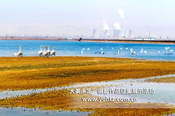 【大美永定】生態(tài)修復再現(xiàn)鳥類樂園 【大美永定】生態(tài)修復再現(xiàn)鳥類樂園