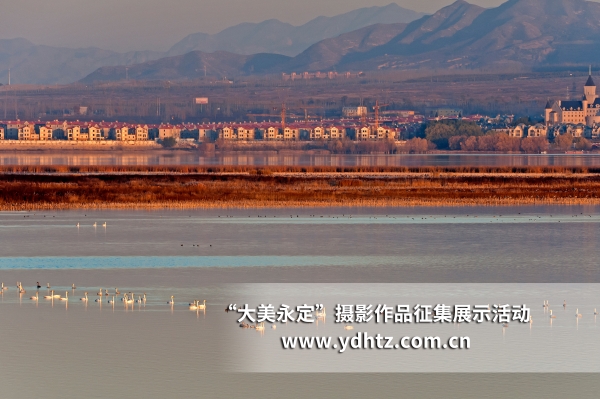 【大美永定】生態(tài)修復再現(xiàn)鳥類樂園 【大美永定】生態(tài)修復再現(xiàn)鳥類樂園