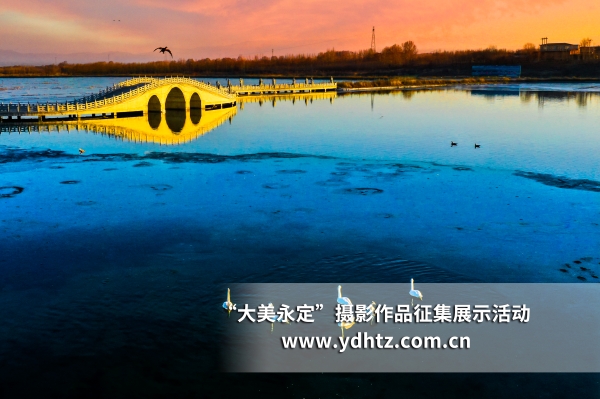 【大美永定】生態(tài)修復再現(xiàn)鳥類樂園 【大美永定】生態(tài)修復再現(xiàn)鳥類樂園