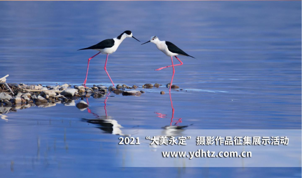 關(guān)愛河湖 共話幸福 第二屆“大美永定”攝影作品征集活動結(jié)果揭曉 關(guān)愛河湖 共話幸福 第二屆“大美永定”攝影作品征集活動結(jié)果揭曉