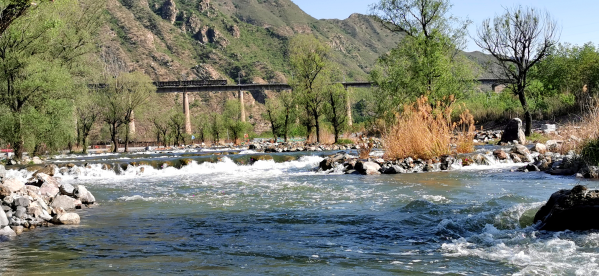 大流量生態(tài)補(bǔ)水啟動 永定河5月再迎全線通水 大流量生態(tài)補(bǔ)水啟動 永定河5月再迎全線通水