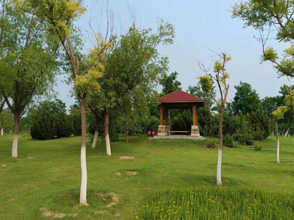 天津市東麗郊野公園PPP項(xiàng)目順利通過(guò)2022年上半年運(yùn)維績(jī)效考核 天津市東麗郊野公園PPP項(xiàng)目順利通過(guò)2022年上半年運(yùn)維績(jī)效考核