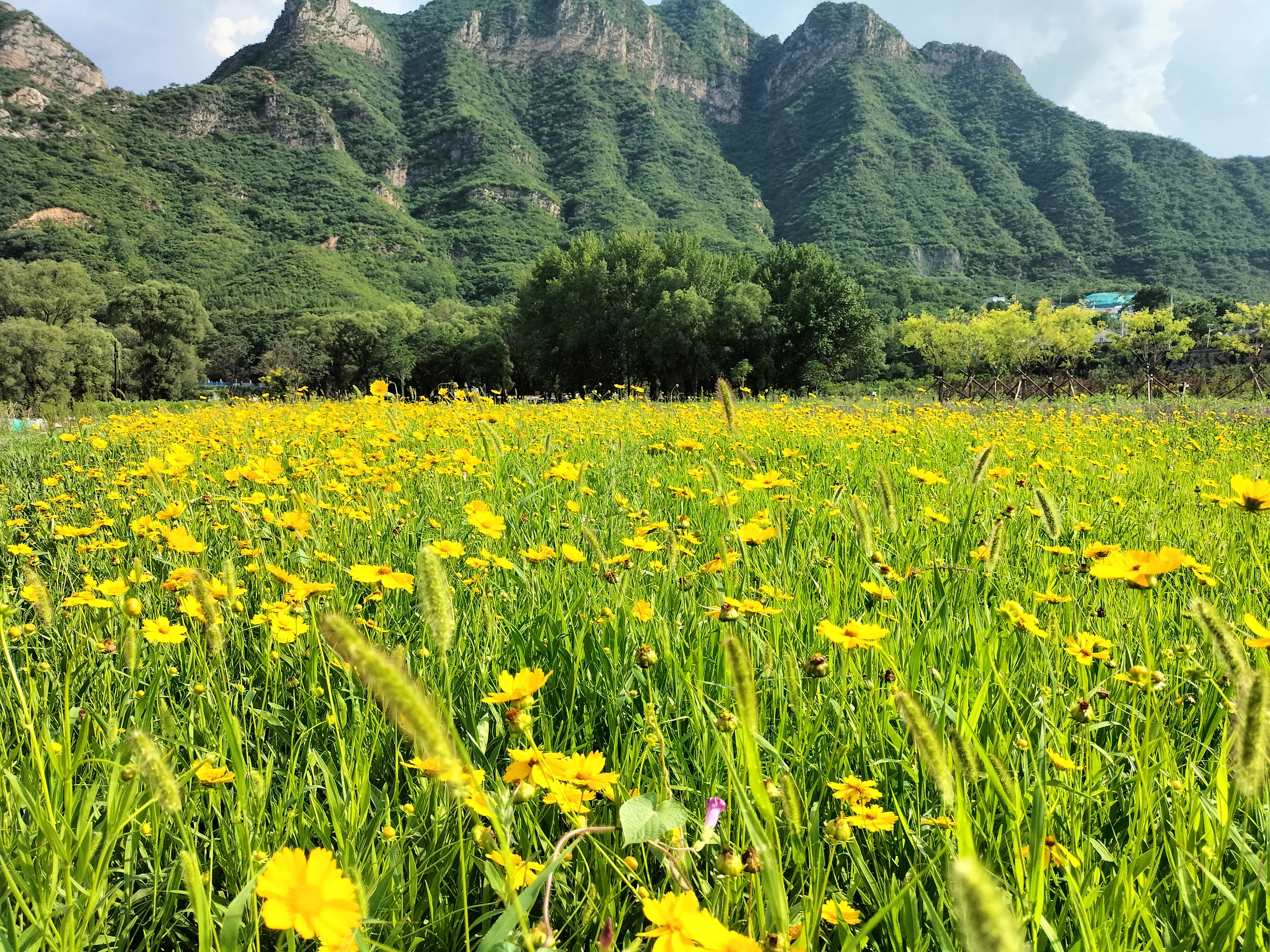 【敬請(qǐng)收看】央視《創(chuàng)新進(jìn)行時(shí)》專題報(bào)道永定河山峽段青白口濕地,將于2月20日精彩上線 【敬請(qǐng)收看】央視《創(chuàng)新進(jìn)行時(shí)》專題報(bào)道永定河山峽段青白口濕地,將于2月20日精彩上線