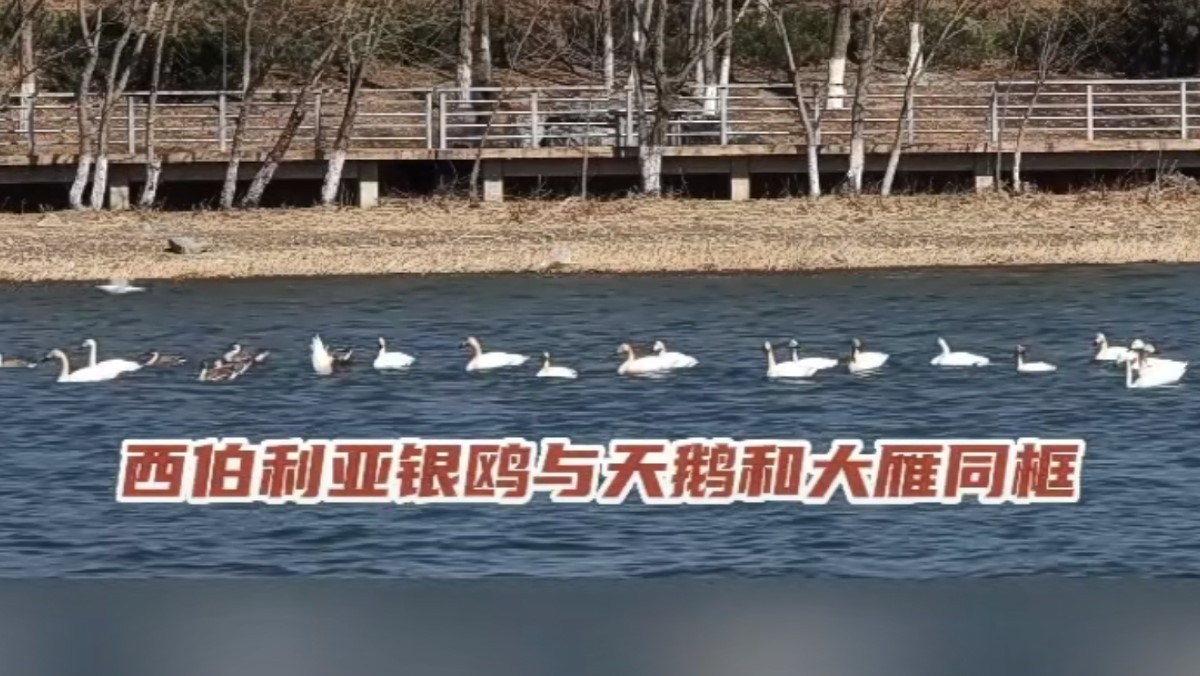 永定春來(lái)早 園林養(yǎng)護(hù)忙 永定春來(lái)早 園林養(yǎng)護(hù)忙