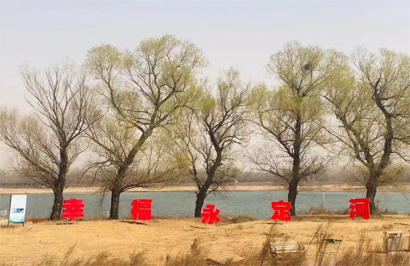 永定春來(lái)早 園林養(yǎng)護(hù)忙 永定春來(lái)早 園林養(yǎng)護(hù)忙
